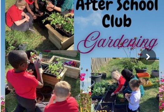 WAC Gardening