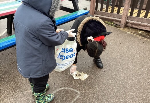Litter Pick